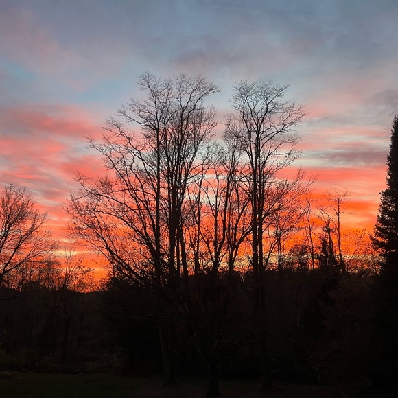 Meet your Posher, Karen - Picture 8 of 10